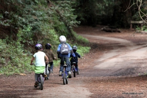 Redwood Bike Ride 018