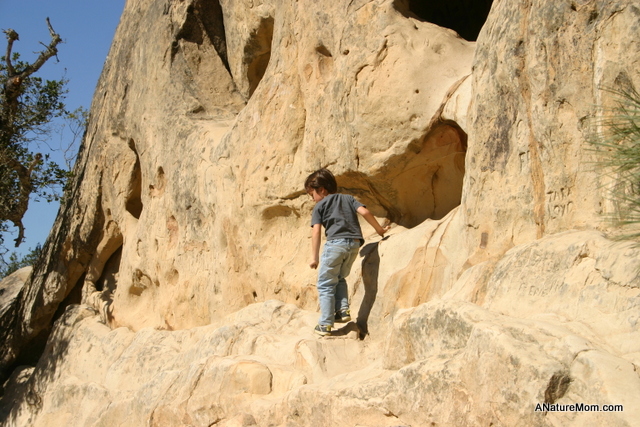Silent Saturday: Trail Through Time, Rock City, Mount Diablo – hike .wander.wonder